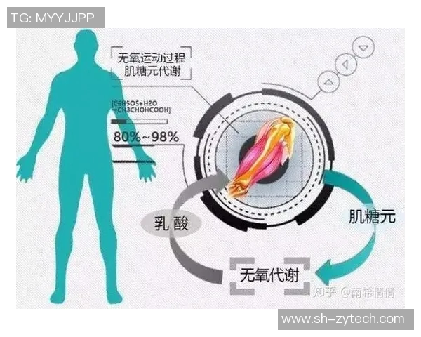 足球肌肉训练的科学与技巧提升运动表现的关键要素解析